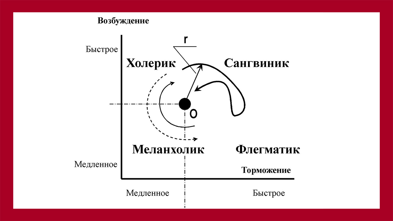 Определение темперамента по скорости возбуждения и торможения. Автор картинки неизвестен, взято из открытых источников сети интернет.